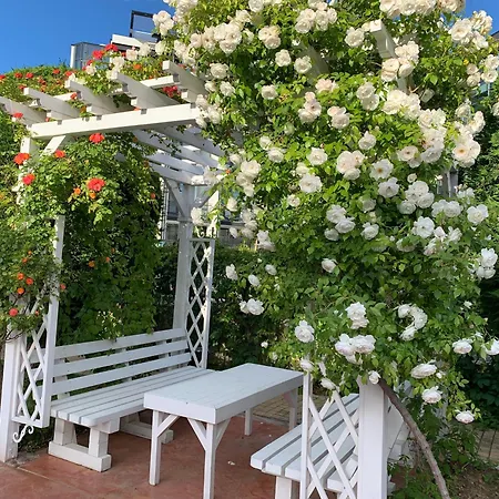 Sveti Vlas-royal Bay 2-avalonia